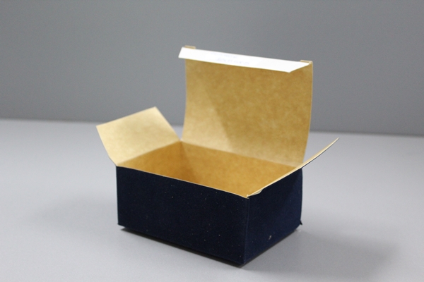 Caja Cartulina